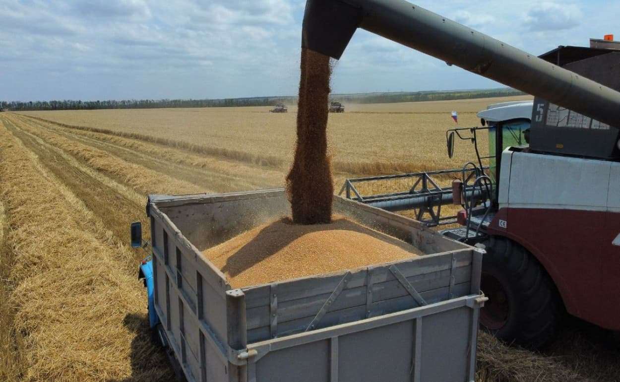 В текущем сезоне урожай зерна в РФ достиг 135 млн тонн - agroexpert.md