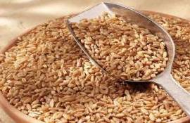 Алжир на тендерах предпочитает пшеницу из Причерноморья - agroexpert.md