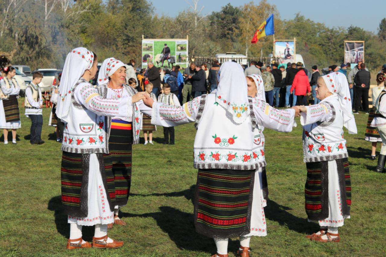 festival Cimișlia