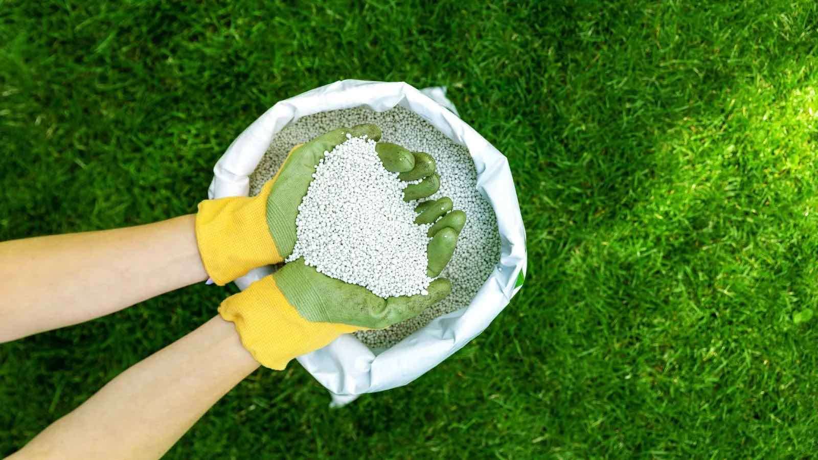 Nitratul de amoniu rămâne printre cele mai importate îngrășăminte - agroexpert.md