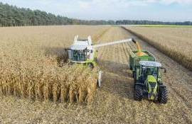 В Украине собрано 37,56 млн т зерна, уборка продолжается - agroexpert.md