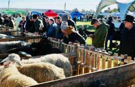 Miorita Laie 2025 - agroexpert.md