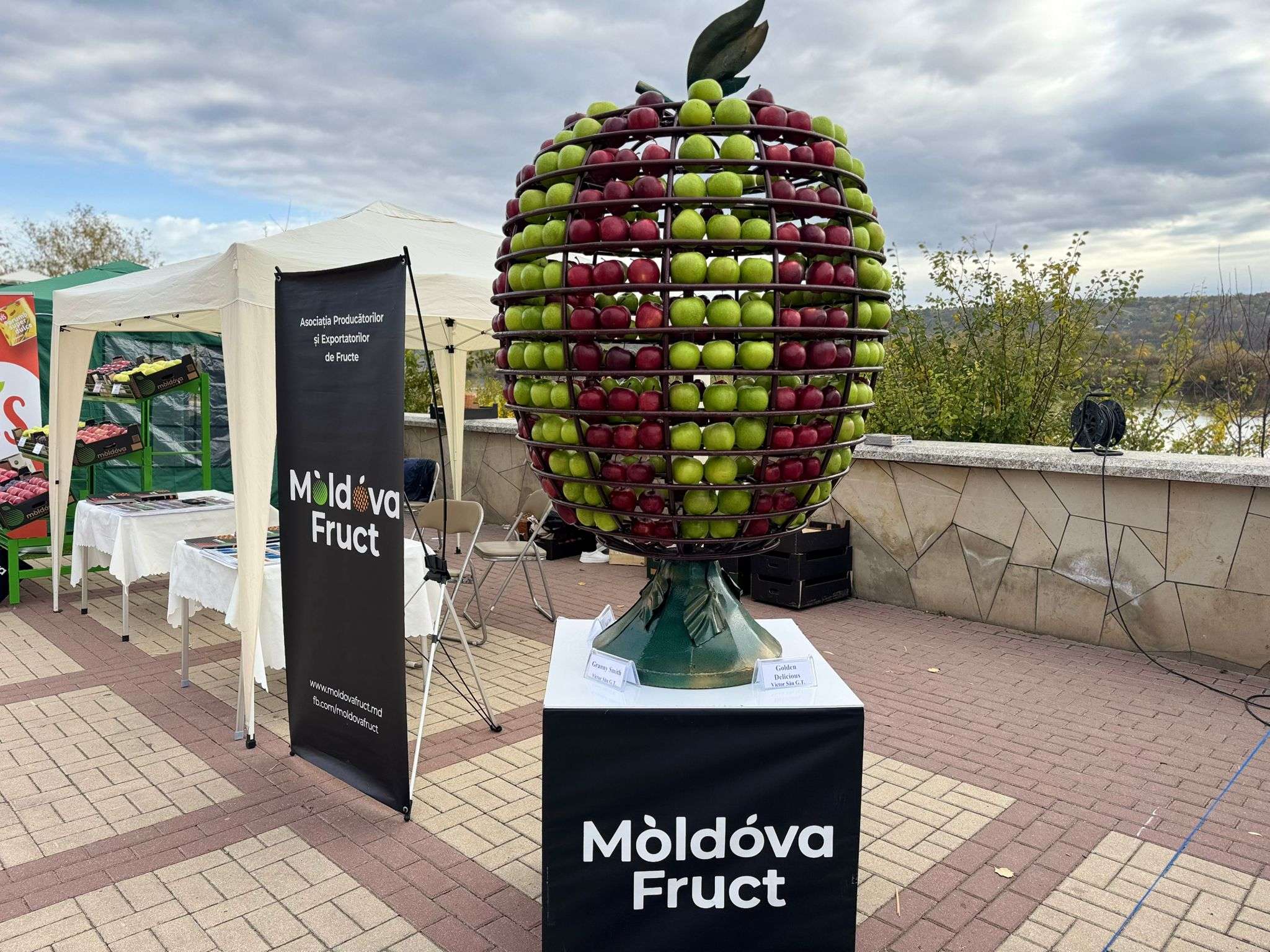 Festivalului Național al Mărului - agroexpert.md