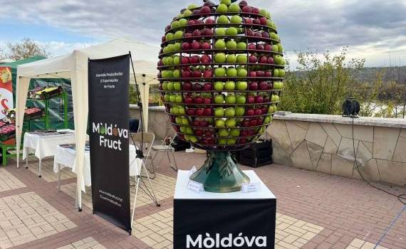 Festivalului Național al Mărului - agroexpert.md