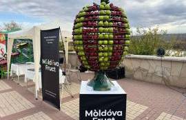 Festivalului Național al Mărului - agroexpert.md