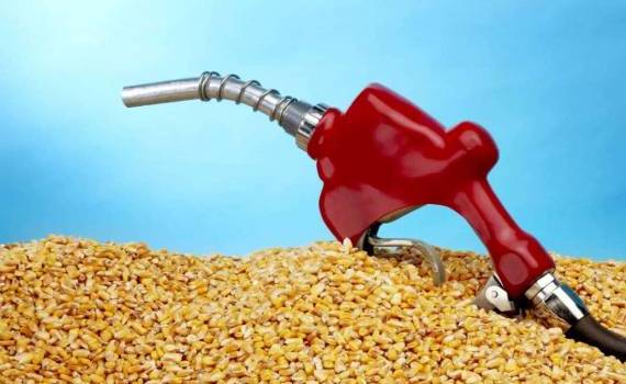 Бразильский этанол из кукурузы: новая угроза для мировых цен на сахар - agroexpert.md