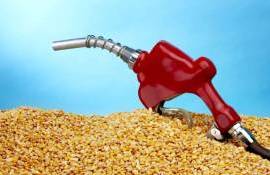 Бразильский этанол из кукурузы: новая угроза для мировых цен на сахар - agroexpert.md