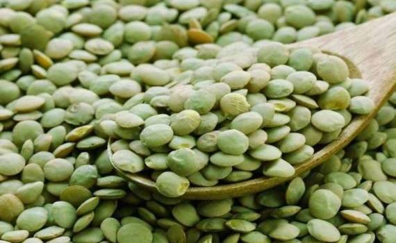 Глобальный избыток зелёной чечевицы ведёт к конкуренции и снижению цен - agroexpert.md