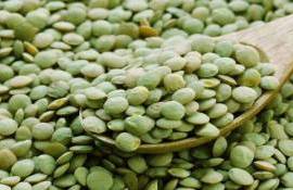 Глобальный избыток зелёной чечевицы ведёт к конкуренции и снижению цен - agroexpert.md