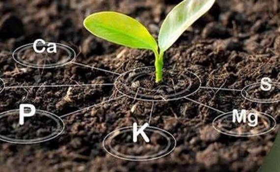 На глобальном рынке удобрений начинается период снижения потребления - agroexpert.md