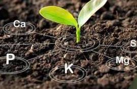 На глобальном рынке удобрений начинается период снижения потребления - agroexpert.md