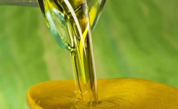 Почему сократился импорт растительных масел в ЕС в 2024/25 МГ - agroexpert.md