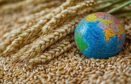 Мировые цены на пшеницу стабилизировались - эксперты - agroexpert.md