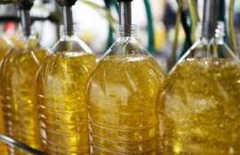 Подсолнечное масло: ажиотаж и колебания рынка - agroexpert.md