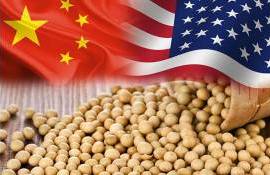 Китай возвращается на рынок сои США - agroexpert.md