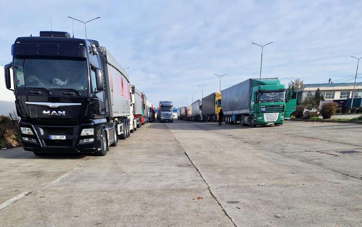 fructe blocate in vama- agroexpert.md