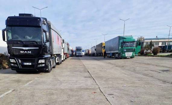  fructe blocate in vama- agroexpert.md