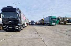 fructe blocate in vama - agroexpert.md