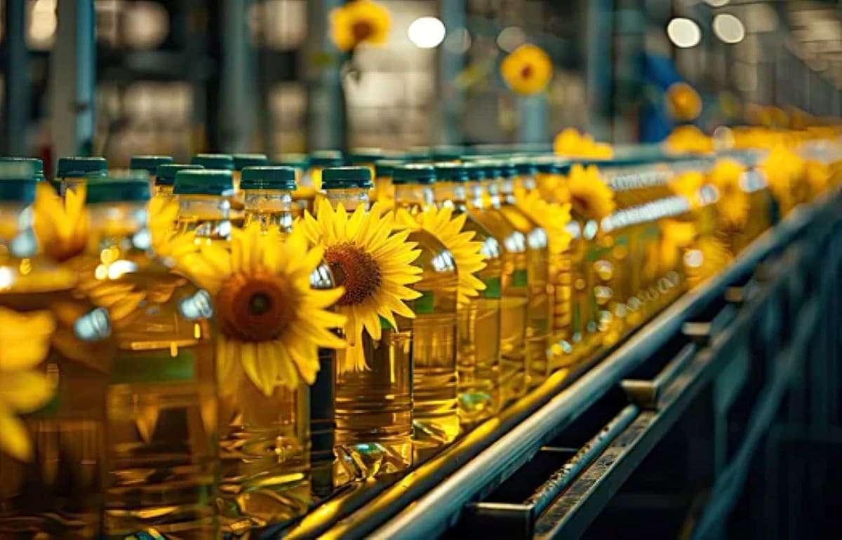 Аргентина укрепляет позиции на мировом рынке подсолнечного масла - agroexpert.md