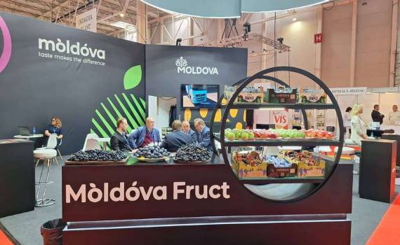 Молдавские фрукты на крупнейшей агровыставке Румынии INDAGRA FOOD 2025 - agroexpert.md