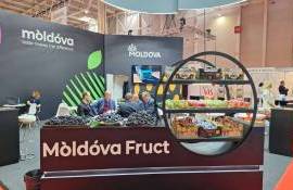 Молдавские фрукты на крупнейшей агровыставке Румынии INDAGRA FOOD 2025 - agroexpert.md