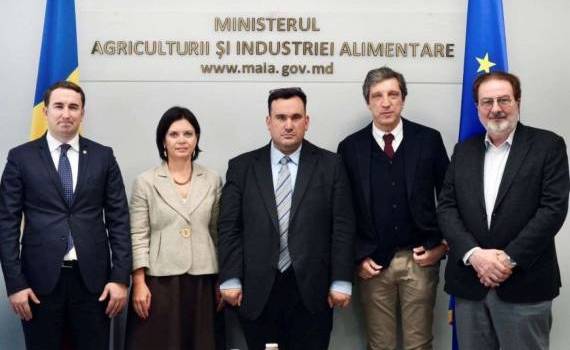 Молдова и Италия запустят проект по развитию сельского хозяйства - agroexpert.md