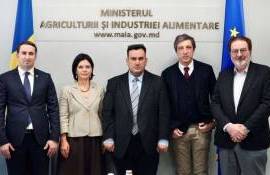 Молдова и Италия запустят проект по развитию сельского хозяйства - agroexpert.md
