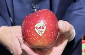 Климатически устойчивый сорт яблок Tutti получил награду Fruit Attraction - agroexpert.md