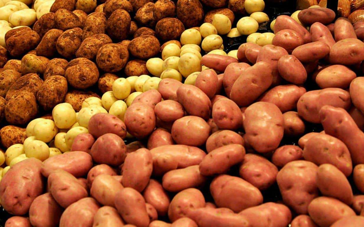 Картофель дешевеет: мировой рынок перегрет из-за избытка урожая - agroexpert.md