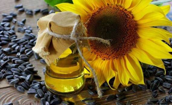 Уборка подсолнечника завершается — рынок реагирует ростом цен - agroexpert.md