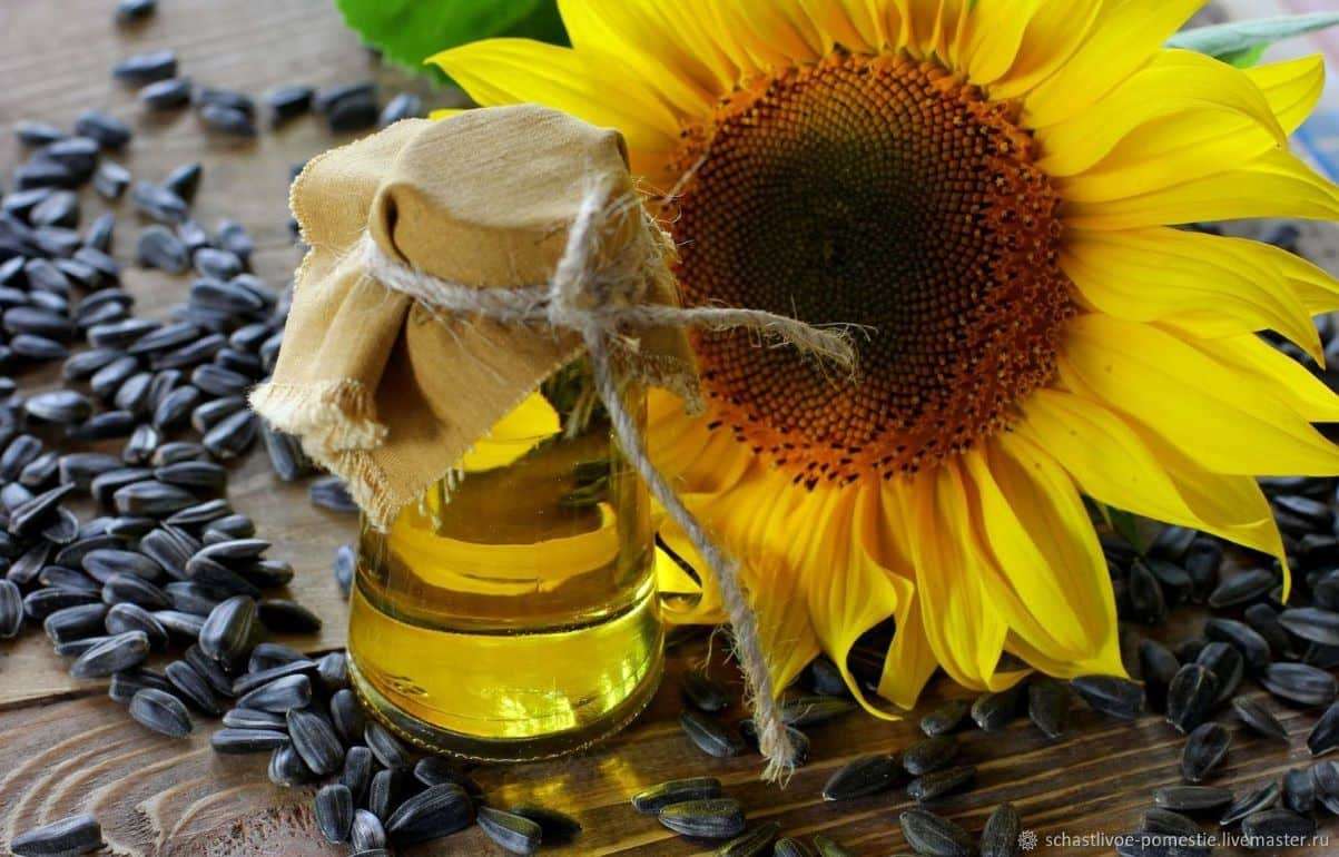 Уборка подсолнечника завершается — рынок реагирует ростом цен - agroexpert.md