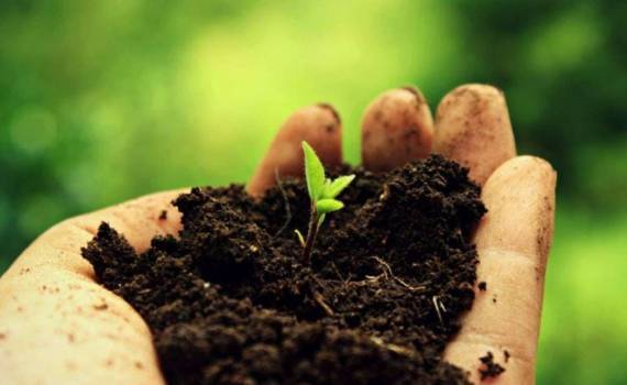 Состояние почвы в странах ЕС теперь будут контролировать - agroexpert.md