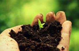 Состояние почвы в странах ЕС теперь будут контролировать - agroexpert.md