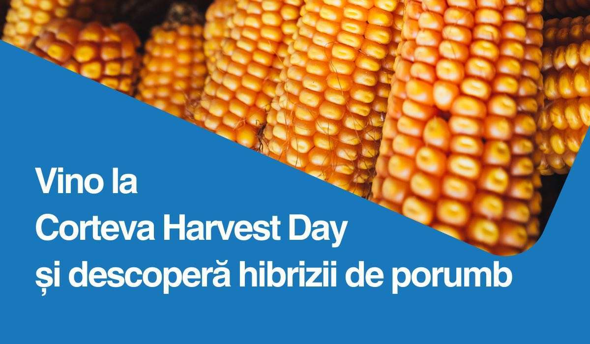 Corteva Harvest Day porumb - agroexpert.md