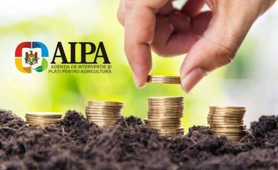 В октябре аграрии Молдовы получили более 70 млн леев субсидий - agroexpert.md