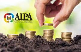 В октябре аграрии Молдовы получили более 70 млн леев субсидий - agroexpert.md