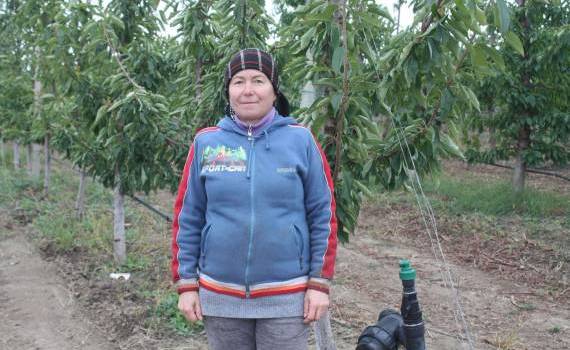 afacere MAIA IFAD - agroexpert.md