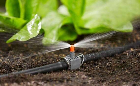 Фермеры Молдовы получат гранты до $7 500 на современные системы орошения - agroexpert.md