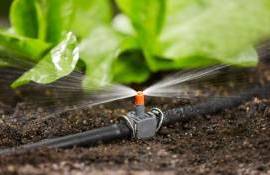 Фермеры Молдовы получат гранты до $7 500 на современные системы орошения - agroexpert.md