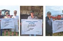 Compania Corteva Agriscience  campioni rapiță - agroexpert.md