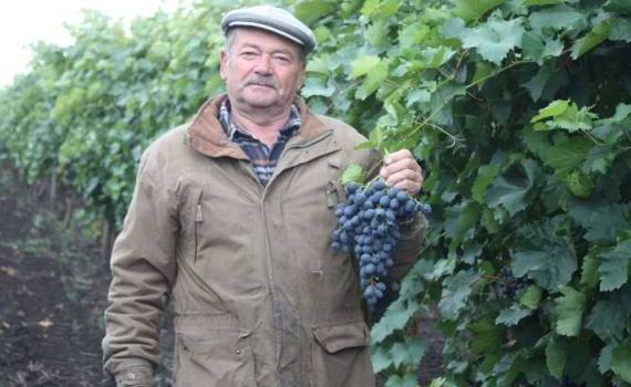 Как фермер из села Бушила установил современную систему орошения - agroexpert.md