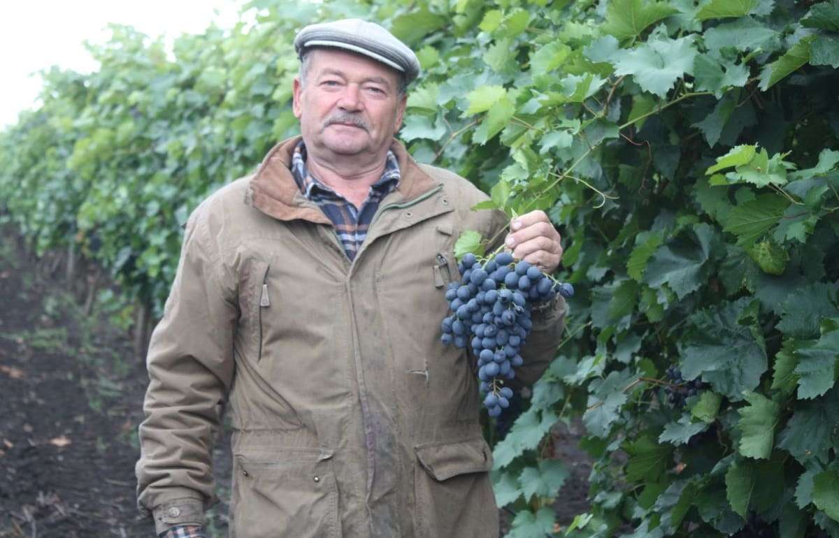 Как фермер из села Бушила установил современную систему орошения - agroexpert.md