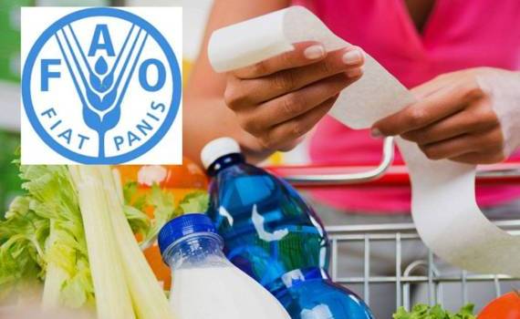 Мировые цены на продовольствие снижаются, исключение — растительные масла - agroexpert.md