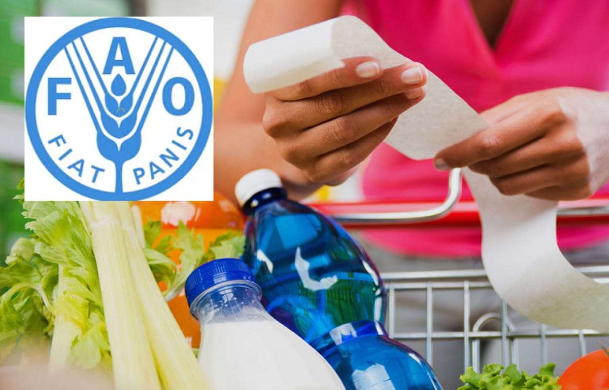 Мировые цены на продовольствие снижаются, исключение — растительные масла - agroexpert.md