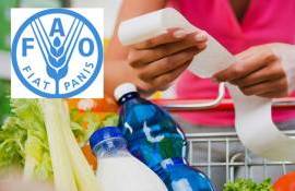 Мировые цены на продовольствие снижаются, исключение — растительные масла - agroexpert.md