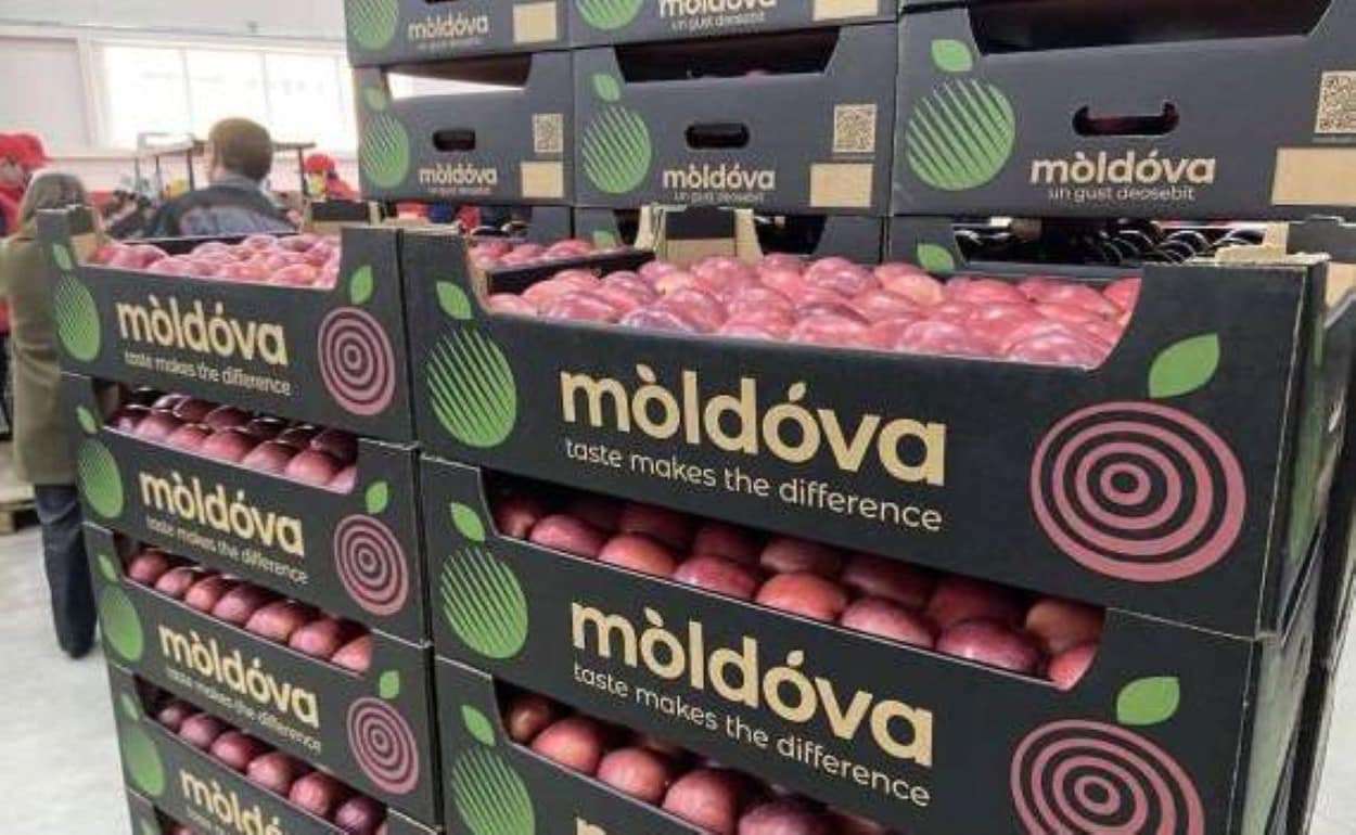 Экспорт молдавских яблок в октябре вырос до 7 тысяч тонн - agroexpert.md