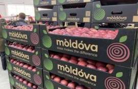 Экспорт молдавских яблок в октябре вырос до 7 тысяч тонн - agroexpert.md