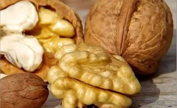 Импорт грецких орехов в ЕС: цена взлетела на 41% - agroexpert.md