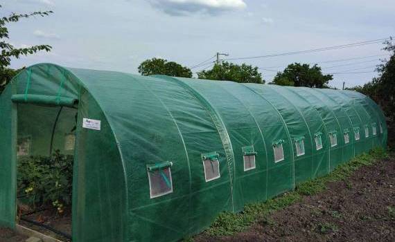 Теплица для огорода - agroexpert.md