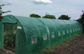 Теплица для огорода - agroexpert.md